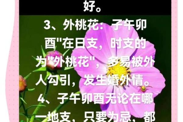 八字和母亲 八字和母亲