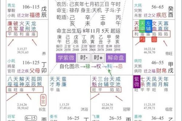 紫微斗数排盘解析,紫微十四主星七杀星 紫微斗数排盘解析,紫微十四主星七杀星
