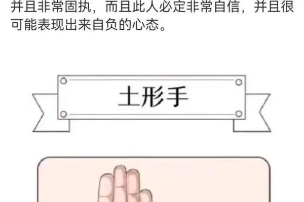 手型算命:兼型手人的性格与命运 手型算命:兼型手人的性格与命运