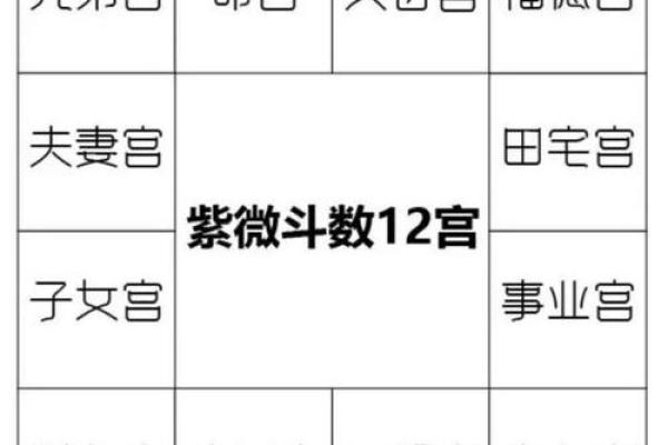 紫薇斗数看一个人能否掌权