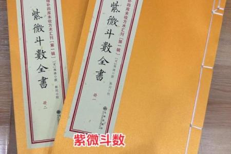 紫微斗数rumen 紫微斗数入门全书？