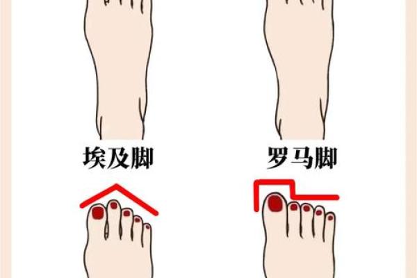风水最有福气女人的脚型看命运