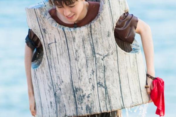 王俊凯紫薇斗数