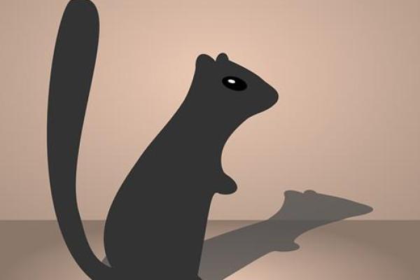 梦见算命人说我没人要 梦见算命人说我没人要