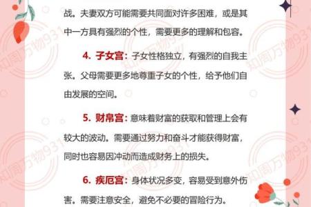 紫微斗数诸星落诸宫之，夫妻宫