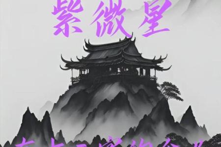 作家的紫薇斗数