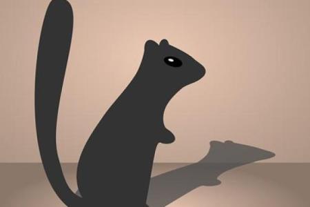 梦见算命人说我没人要