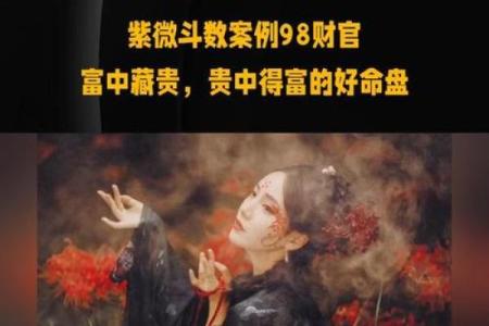 紫薇斗数偏财运好