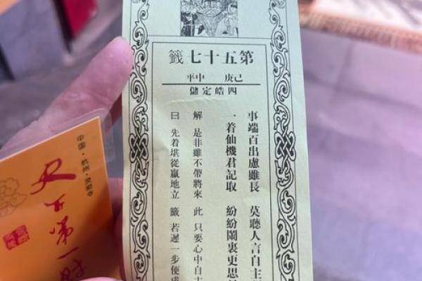 抽签算命老鼠掉水桶里 抽签算命老鼠掉水桶里