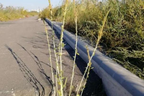 算命的说小孩扎根在水中 算命的说小孩扎根在水中