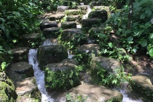 算命的说小孩扎根在水中 算命的说小孩扎根在水中