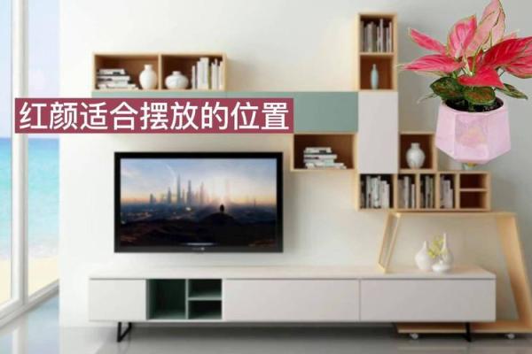 电视如何摆放，有什么风水讲究