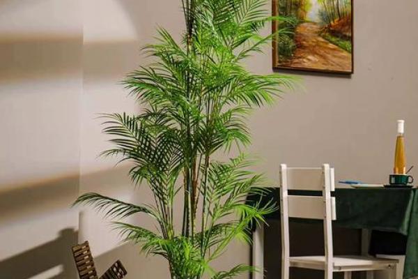 假花摆放在房屋里哪里不会影响到风水呢 假花摆放在房屋里哪里不会影响到风水呢