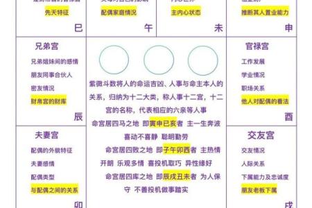 太阳在子女宫，紫微斗数太阳星入子女宫