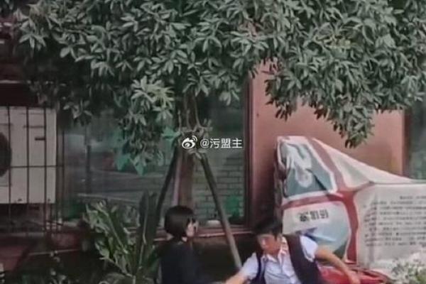 马来西亚算命先生