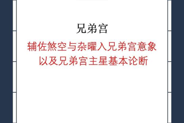 意象紫薇斗数 意象紫薇斗数