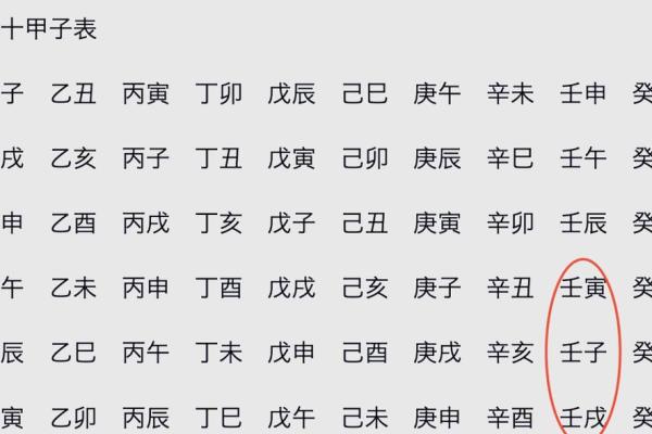 八字-论日柱壬戌