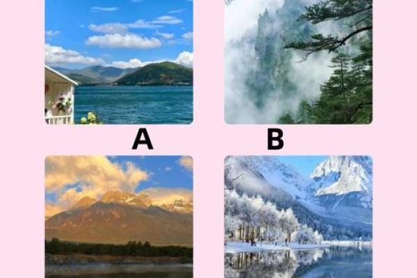 神准测试--选对行！适合你的工作种类是什么？