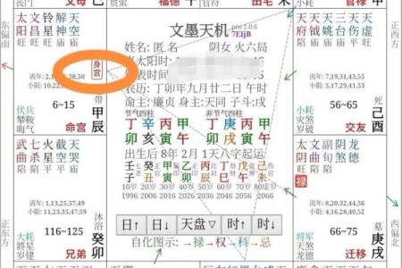 手机紫薇斗数app