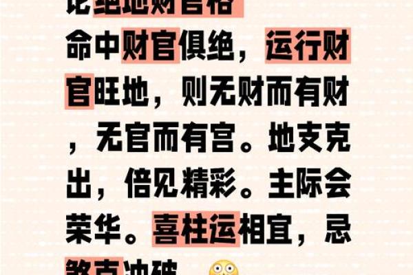 八字地支财生杀 八字地支财亡生旺