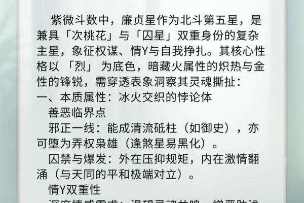 紫薇斗数小说