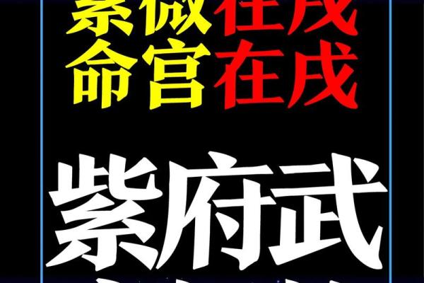紫薇斗数限流盘 紫薇斗数限流盘