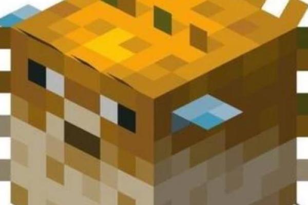 我的世界算命先生在哪