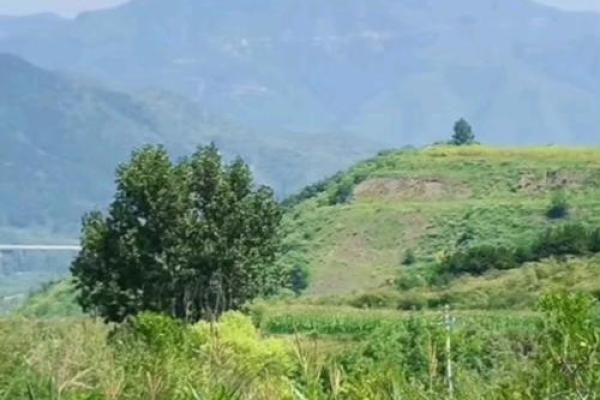 风水学中的龙楼宝殿指的是什么