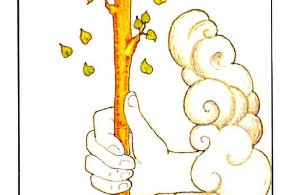 塔罗牌测试他的恋爱观是怎样的？