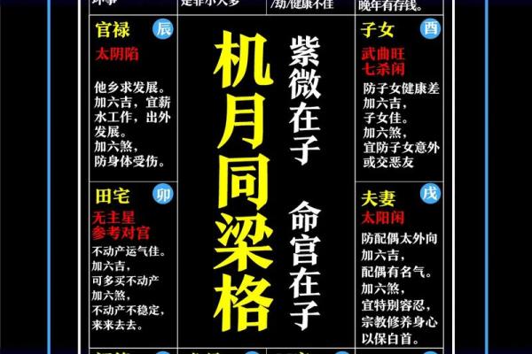 紫薇斗数状元格 紫薇斗数状元格