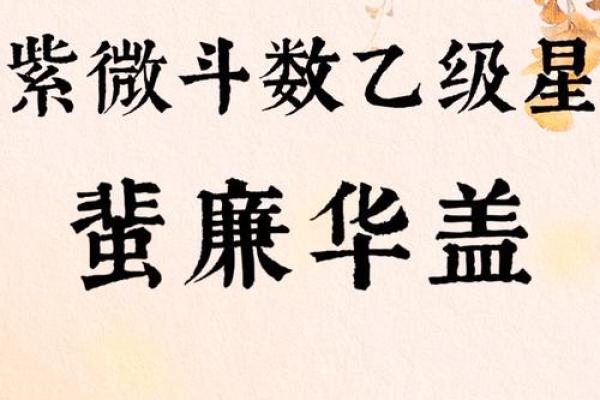 《紫微斗数》：廉贞.天相在财帛宫