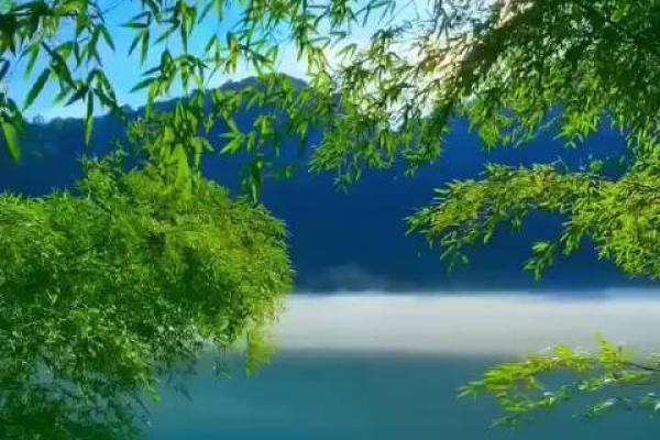 手机号风水查询