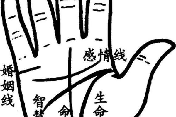 手相算命图解事业线