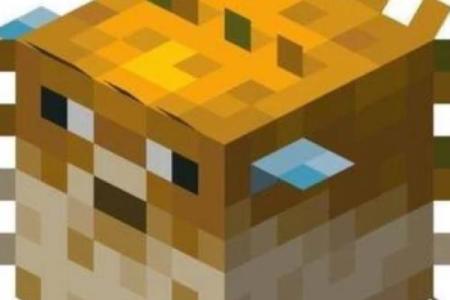 我的世界算命先生在哪