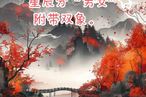 注定紫薇斗数吧