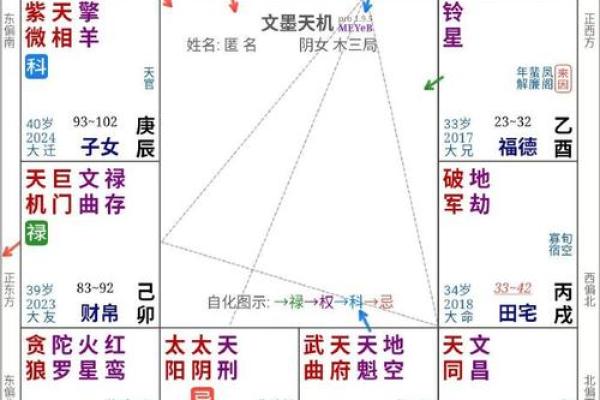 紫薇斗数平是什么意思