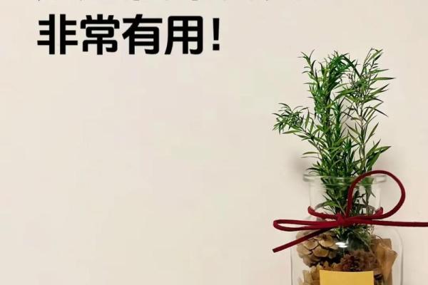 生意不好，风水有妙招