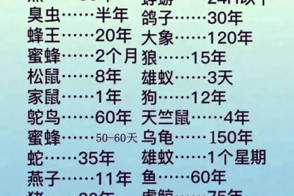 风水12生肖寿命最长的是什么动物是它吗