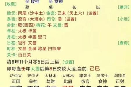 相同八字相同大运不同命运