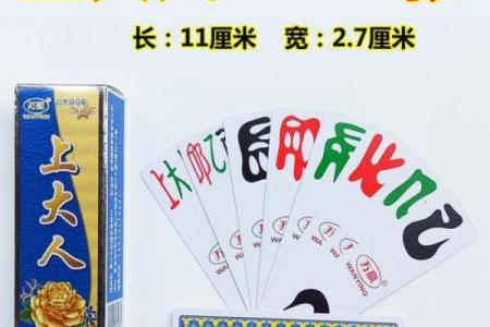那种算命的牌叫什么