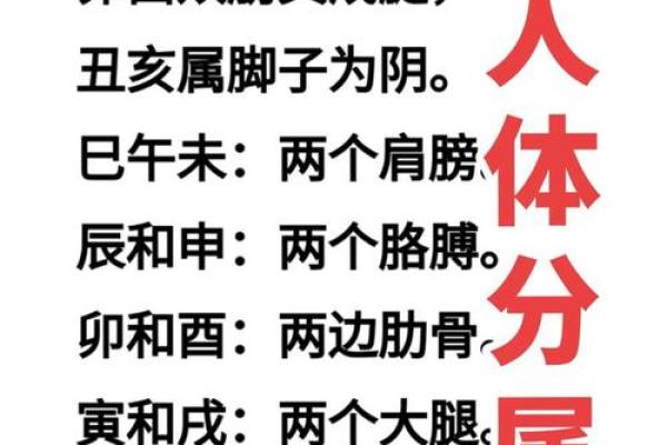 怎样剖析八字格局的高矮 必须均衡点吗 怎样剖析八字格局的高矮 必须均衡点吗