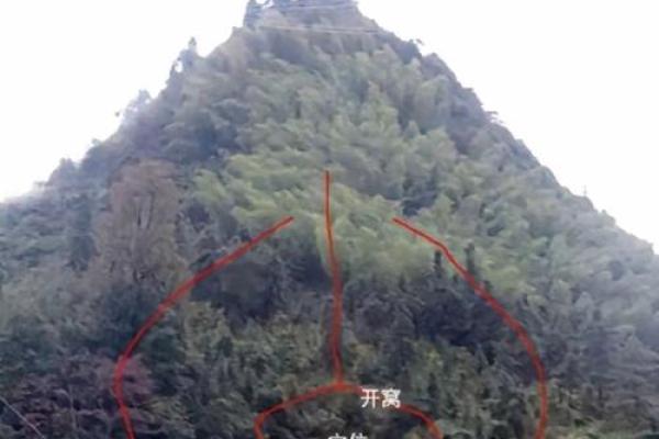 怎么看农村祖坟风水宝地的要求