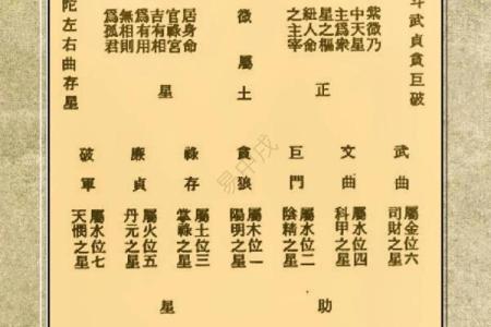 飞星紫薇斗数下载