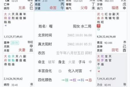 紫薇斗数飞星排盘