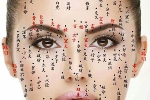 人脸拍照算命女