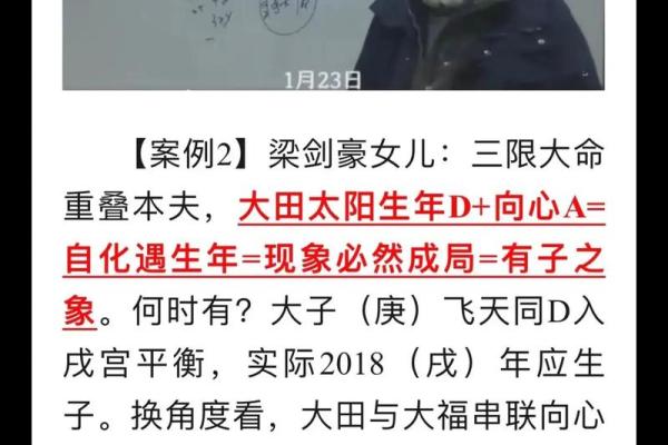 大花紫薇斗数钦天 大花紫薇斗数钦天