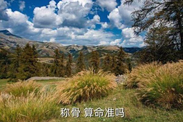 梦见算命师傅说会离婚