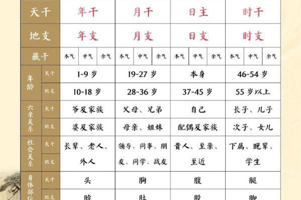 八字排盘软件安易居