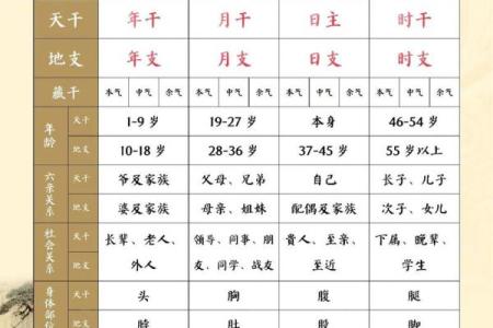 八字排盘软件安易居