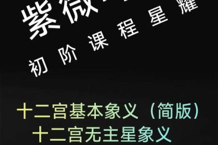 紫薇斗数部署宫